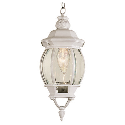 Trans Globe Lighting 4065 WH 1 Light Hanging Lantern in White